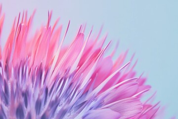 Close-up of a vibrant pink and purple flower petal arrangement showcasing delicate textures against a soft pastel background, ideal for nature and beauty themes.