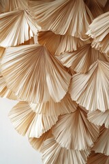 Decorative dried palm leaves create an elegant and textured backdrop for interior design, suitable for various