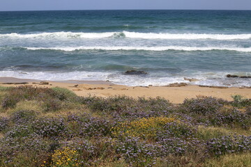 The Mediterranean coast in northern Israel
