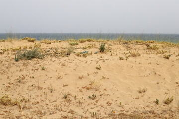 The Mediterranean coast in northern Israel