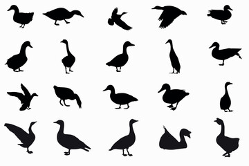 set of duck vector