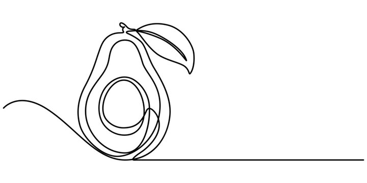 recommend clip art: Avocado Single Line Icon, One continuous line illustration of an avocado, isolated on white background. Line art of an avocado, avocado fruit continuous line vector illustration design, pro vector. 