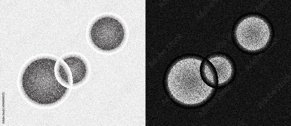Aufkleber Abstract vector dotted background with circles. Black dots on a white background and the same white dots on the black side.