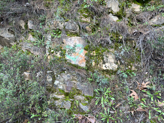 A close-up of a natural stone wall covered with moss and small plants. This textured background highlights the beauty of nature's design, blending rugged rocks with vibrant greenery