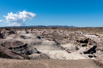 Incredible landscapes with magical shapes of stones and rocks in the Valley of the Moon, Ischigualasto Park, Argentina