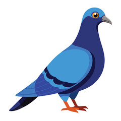 illustration of a pigeon
