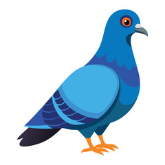 illustration of a pigeon