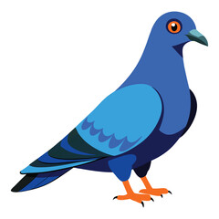 illustration of a pigeon