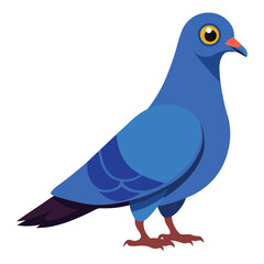 illustration of a pigeon