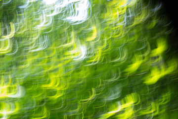 Abstract green curls