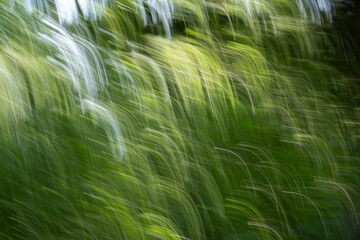 Abstract waterfall in green