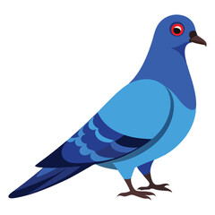 illustration of a pigeon