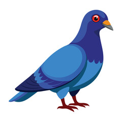 illustration of a pigeon