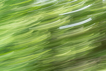 Abstract non-real green fantasy