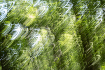 Abstract impressionsim curls in yellow-green