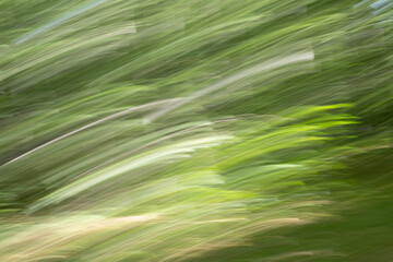 Abstract green impression