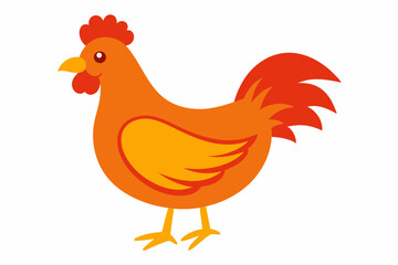 rooster isolated on white background
