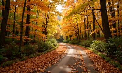 Fototapeta premium Autumnal Road: A Golden Path Through the Woods
