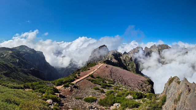 A stunning view from Vereda do Pico Ruivo, Madeira, Portugal. A rocky trail leads through lush vegetation and rugged peaks surrounded by clouds under a vivid blue sky, offering a breathtaking mountain