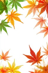 Fototapeta premium Colorful Fall foliage background. Seasonal theme for greeting card background.