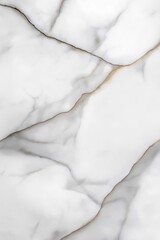 Fototapeta premium A close up of a white marble with a brown line running through it. The marble is textured and has a natural look to it