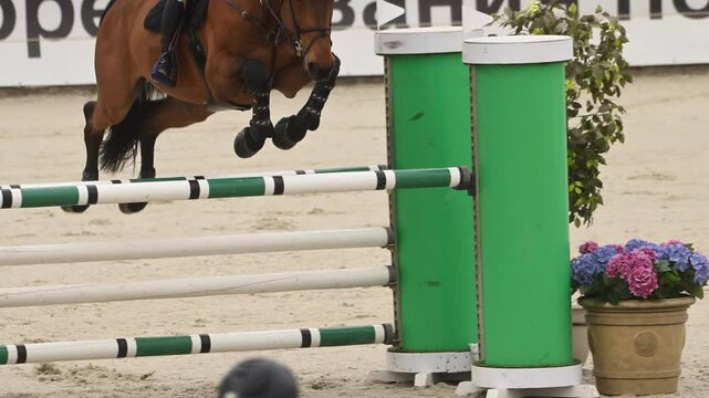 Graceful horse jumps over obstacles in equestrian competition showcasing rider's skill and agility