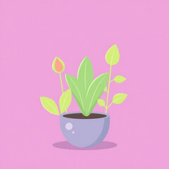 Obraz premium pink hyacinth flower