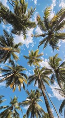 Tropical canopy with room for copy.
