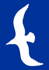 Seagull white silhouette over navy blue background