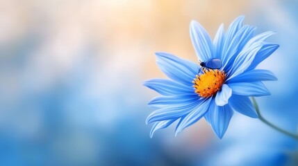 Fototapeta premium A blue flower with a fly on it