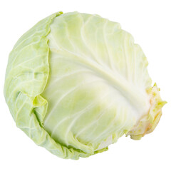 Cabbage isolated on white background. Green fresh leaves healthy. Head of juicy leafy plant vegetable. Natural organic harvest salad eating nutrition. Food for healthy diet. One cabbage vegetarian.