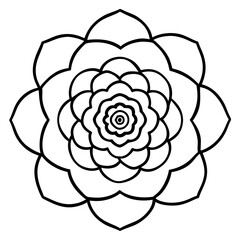 Ranunculus Flower Mandala Art Vector