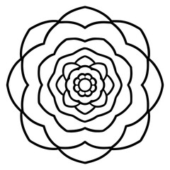 Ranunculus Flower Mandala Art Vector