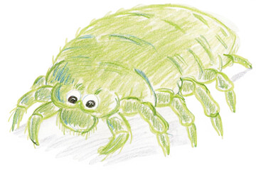 illustration of a green crab