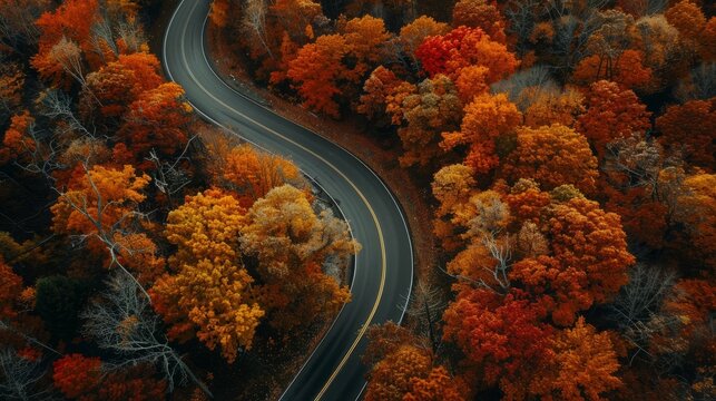 Aerial perspective of a road trip through winding roads in autumn - Powered by Adobe