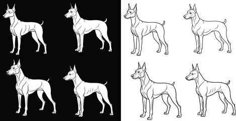 doberman pinscher dog line art,silhouette,vector,illustration