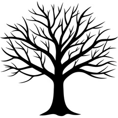 Obraz premium tree, without leaves Silhouette