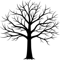 Obraz premium tree, without leaves Silhouette