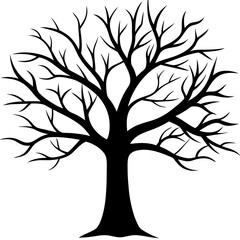 Obraz premium tree, without leaves Silhouette