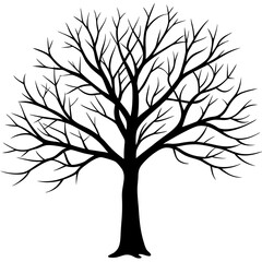Obraz premium tree, without leaves Silhouette