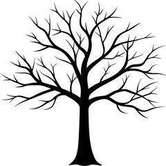 tree, without leaves Silhouette