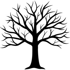 Obraz premium tree, without leaves Silhouette