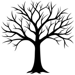 Obraz premium tree, without leaves Silhouette