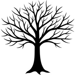 Fototapeta premium tree, without leaves Silhouette