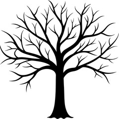 Obraz premium tree, without leaves Silhouette