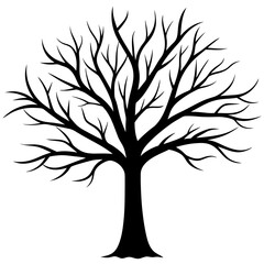Obraz premium tree, without leaves Silhouette