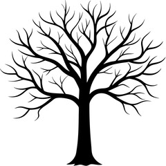 tree, without leaves Silhouette