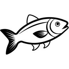 Trout fish line art  vector illustrator 