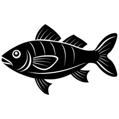 Trout fish silhouette vector illustrator