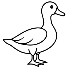 duck line art vector